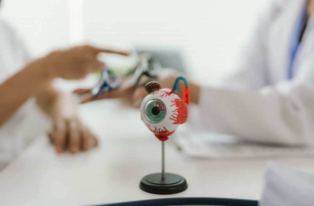 A close-up of an anatomical eye model on a stand in an exam room, with two clinicians in the background discussing it and pointing toward other eye health materials.
